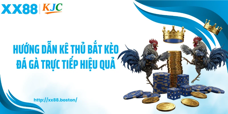 Hướng dẫn kê thủ bắt kèo đá gà trực tiếp hiệu quả