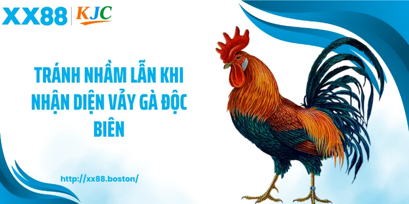 Tránh nhầm lẫn khi nhận diện vảy gà độc biên
